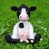 Frannie the Friesian Cow Crochet Amigurumi Pattern (English)