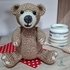 Glenn the Grizzly Bear Crochet Amigurumi Pattern (English)