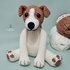 Jeremy the Jack Russell Crochet Amigurumi Pattern (English)