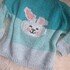 Der Osterhasen Pullover