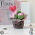 Crochet Pattern Pot of Roses with Heart Amigurumi