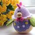 Hen Crochet Pattern