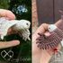 Eagle and owl crochet pattern bundle, bald Eagle Barn owl amigurumi