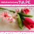 Häkelanleitung Tulpe