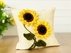 Sunflowers Pillowcase 3D. Crochet NO SEW Pdf pattern