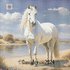 White Horse, PDF cross stitch pattern, English/Español, DMC Threads