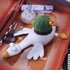 Duck planter/duck pot with cactus (pin cushion)