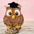 Crochet plush graduation owl amigurumi pattern - Crochet gift for teacher