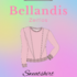 E-Book Schnittmuster Bellandis Sweatshirt "Spaceranger" - deutsche Anleitung