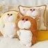 Hamster world, 3D pillows. No sew crochet pattern