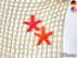 Pattern Fishing Net And Starfish