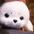 Plush baby seal