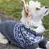 Strickanleitung Hundepullover Nordic Woof