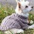 Strickanleitung Hundepullover Tweed Woof