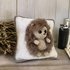 Hedgehog and pillow case. No sew crochet pattern