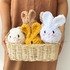 Chubby Bunny Crochet Pattern - Bunny Amigurumi - PDF Pattern in English