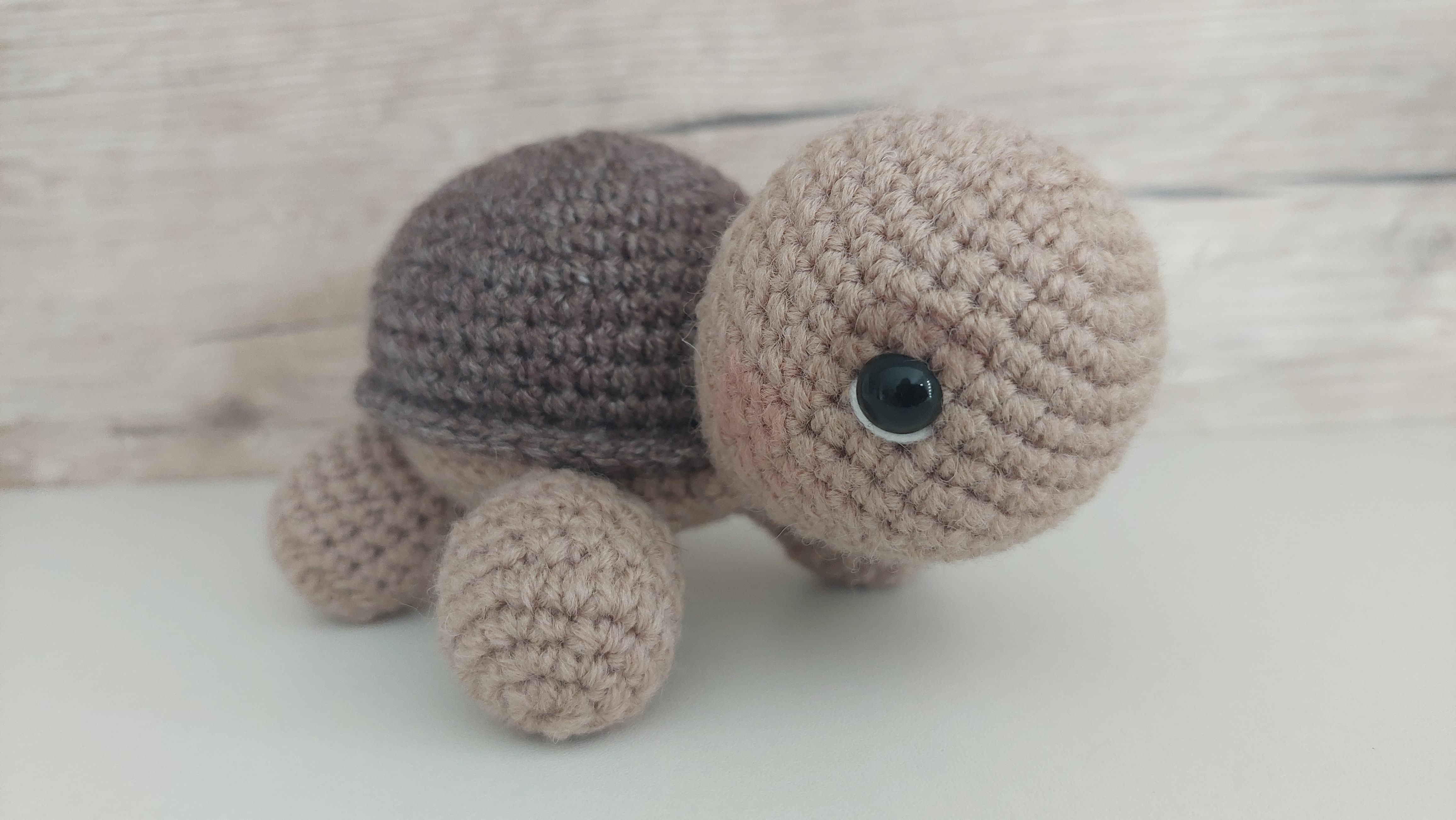 PATTERN ONLY: Crochet Mini Turtle Bag / Small Pouch / Bag 